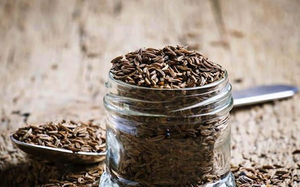 تصویر 2 از خرید زیره سیاه اروپایی + قیمت فروش استثنایی